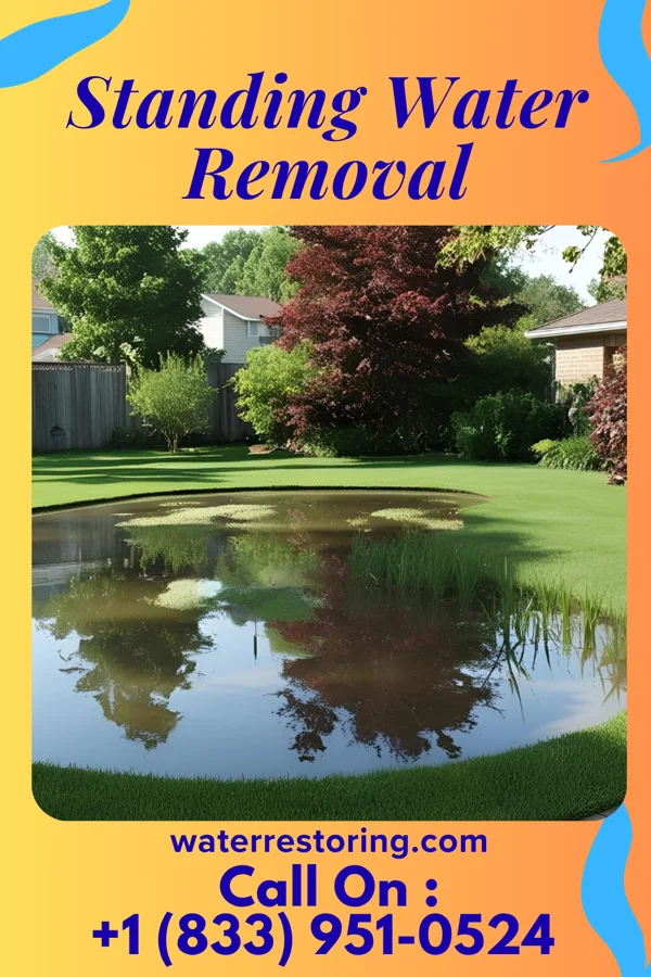 Standing Water Removal in Waterloo, OR